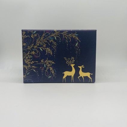 Magical Deer Gift Box