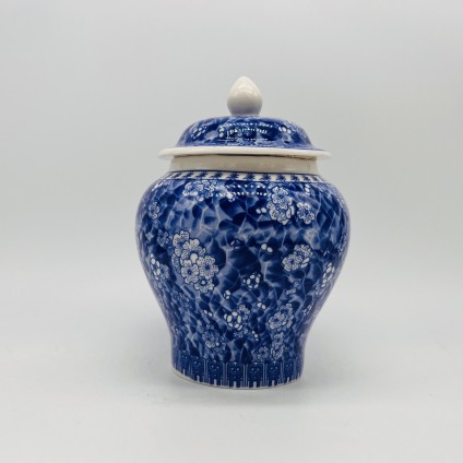 Blue and white porcelain tea jar