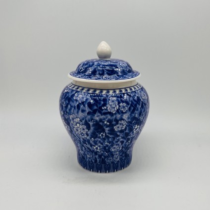 Blue and white porcelain tea jar